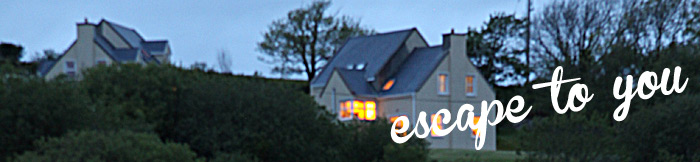 house-banner3