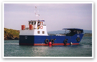 Murphy's Ferry - Bere Island