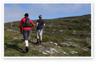 Walking on Bere Island - Bere Island Holiday Homes